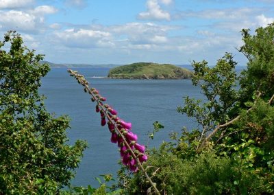 LooeStGeorgesIsland_lostajy